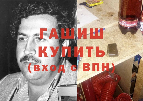 гидра Саяногорск