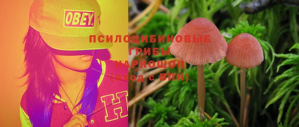 амфетамин Белокуриха