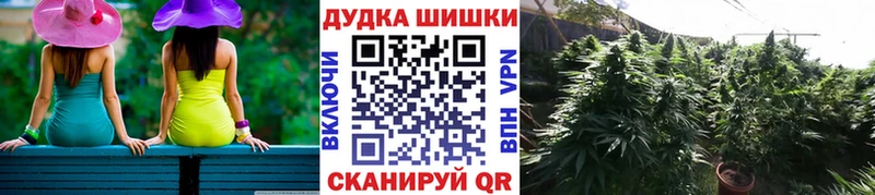 где купить   blacksprut как зайти  Канабис индика  Староминская 